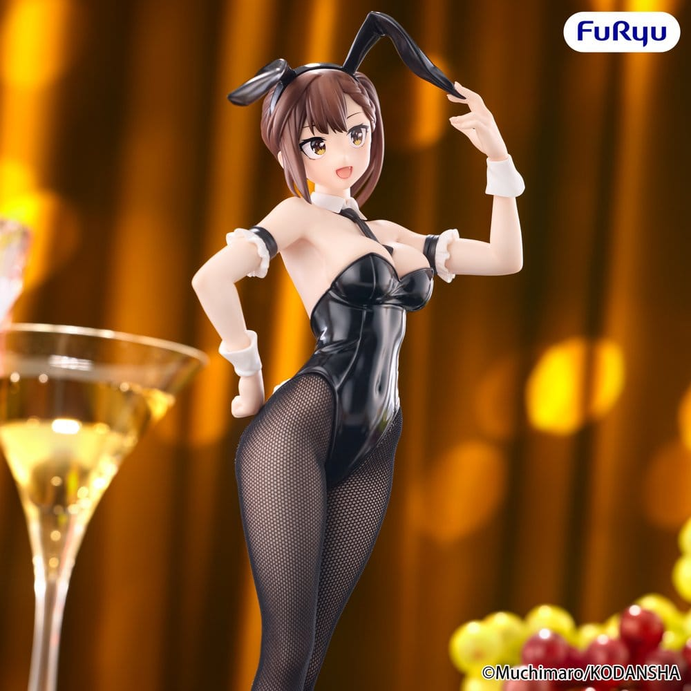 There Is Also a Hole in the Student Organization! BiCute Bunnies Hisako Kotobuki