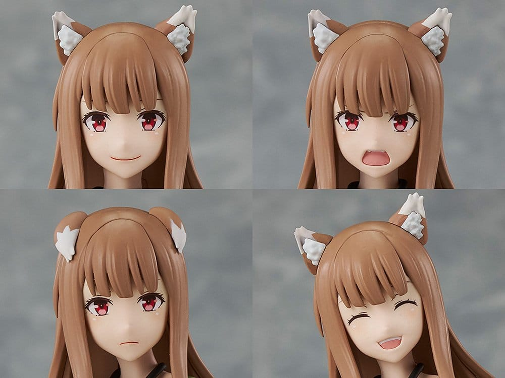 Spice and Wolf Kadokawa Plastic Model Kit Series Holo DX Ver