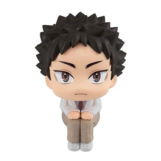 Haikyu Look Up Figure Hajime Iwaizumi