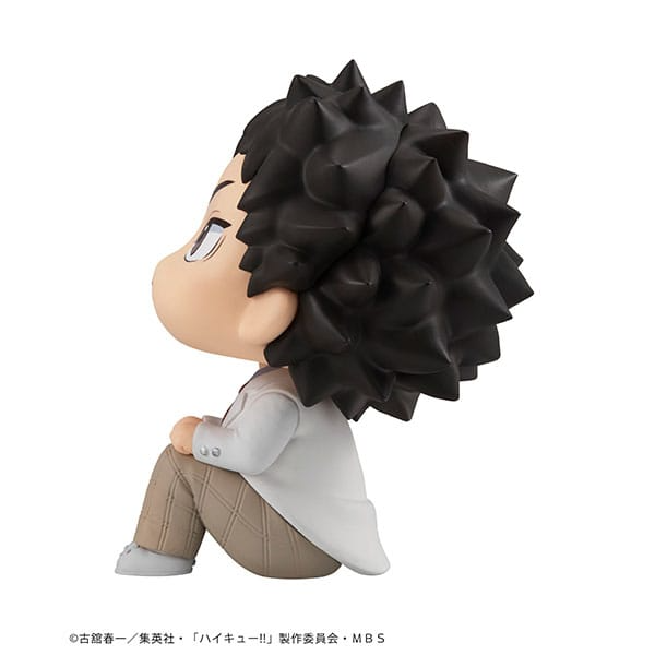 Haikyu Look Up Figure Hajime Iwaizumi
