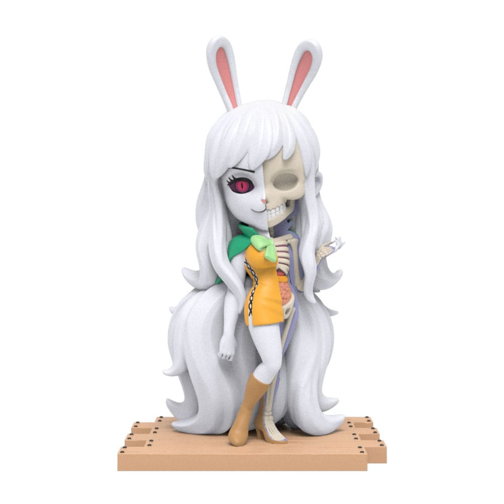 One Piece Blind Box Hidden Dissectibles Series 5 (Ladies Edtion)