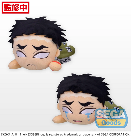 Demon Slayer Nesoberi Gyomei Himejima
