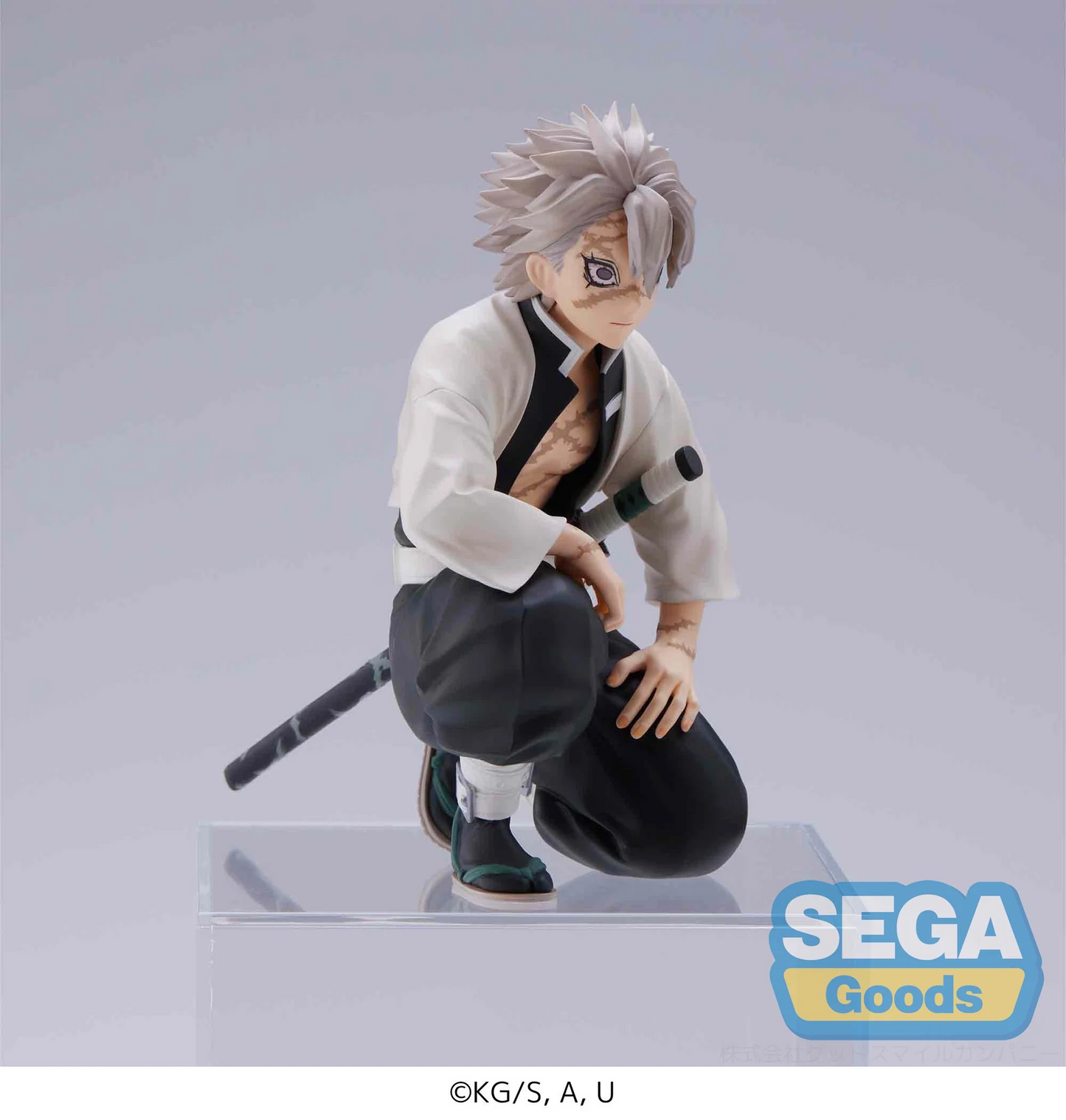 Demon Slayer PM Perching Sanemi Shinazugawa Hashira Meeting