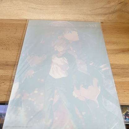 Fate Stay Night Heavens Feel Movie Poster A3