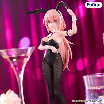 There Is Also a Hole in the Student Organization! BiCute Bunnies Komaro Michinoku