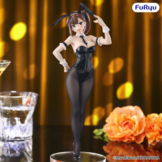 There Is Also a Hole in the Student Organization! BiCute Bunnies Hisako Kotobuki