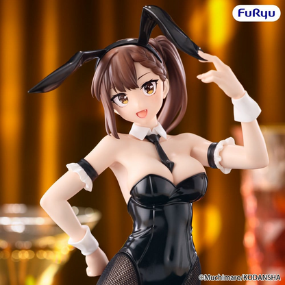 There Is Also a Hole in the Student Organization! BiCute Bunnies Hisako Kotobuki