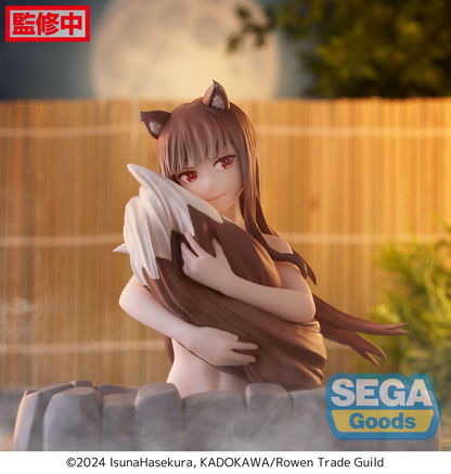 Spice and Wolf Holo Luminasta Figure