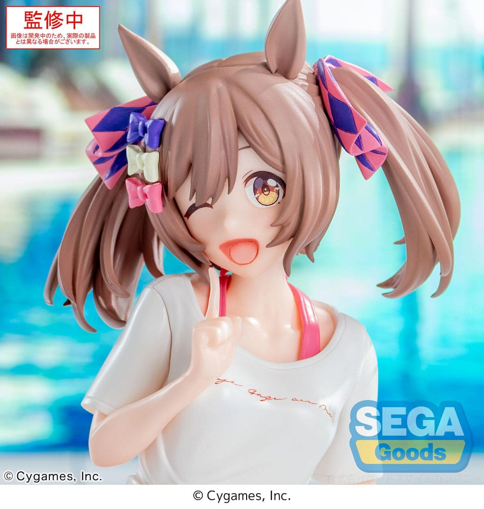 Uma Musume Pretty Derby Yumemirize Smart Falcon Gaze on Me!