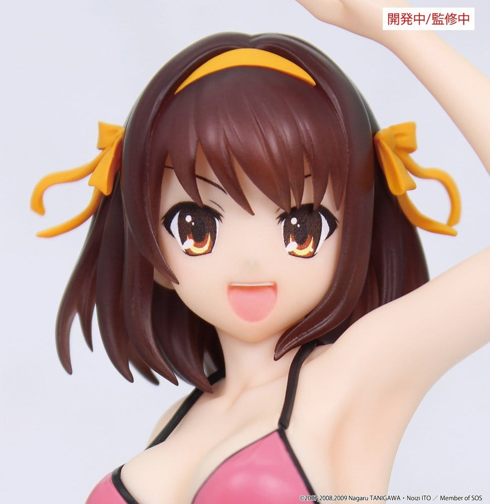 The Melancholy of Haruhi Suzumiya Vivit Haruhi Suzumiya