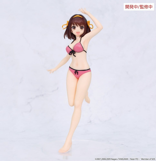 The Melancholy of Haruhi Suzumiya Vivit Haruhi Suzumiya