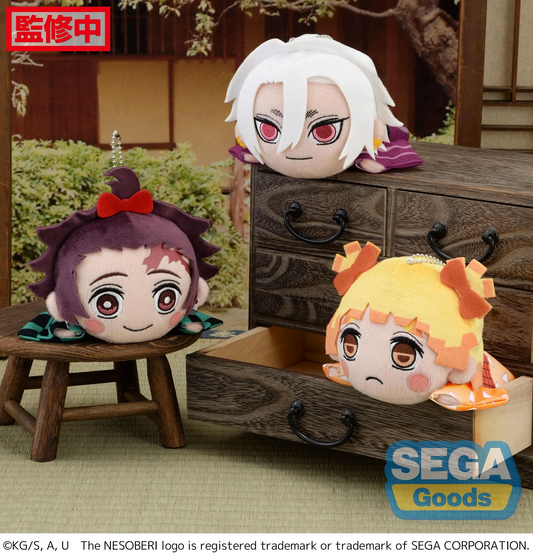 Demon Slayer Nesoberi Vol 1